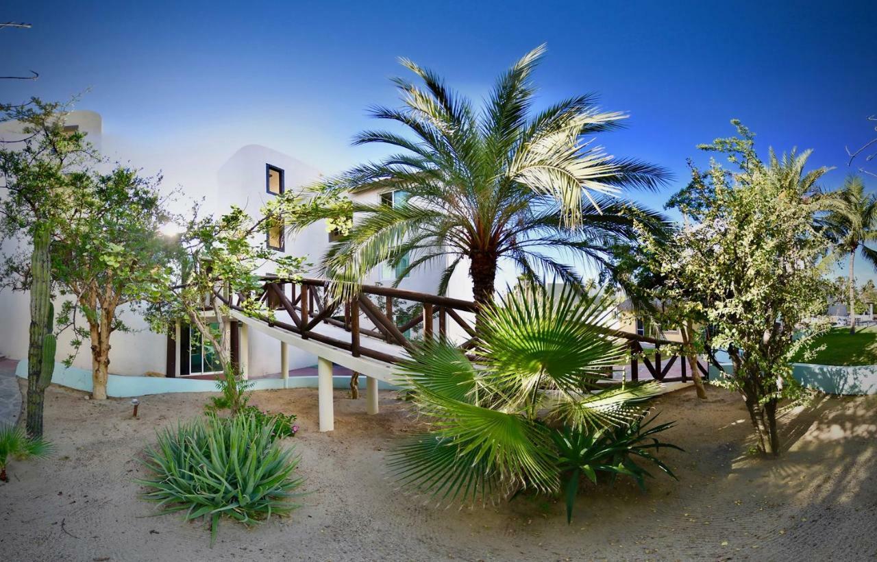 Отель Santa Maria Del Cabo Сан-Хосе-дель-Кабо Экстерьер фото